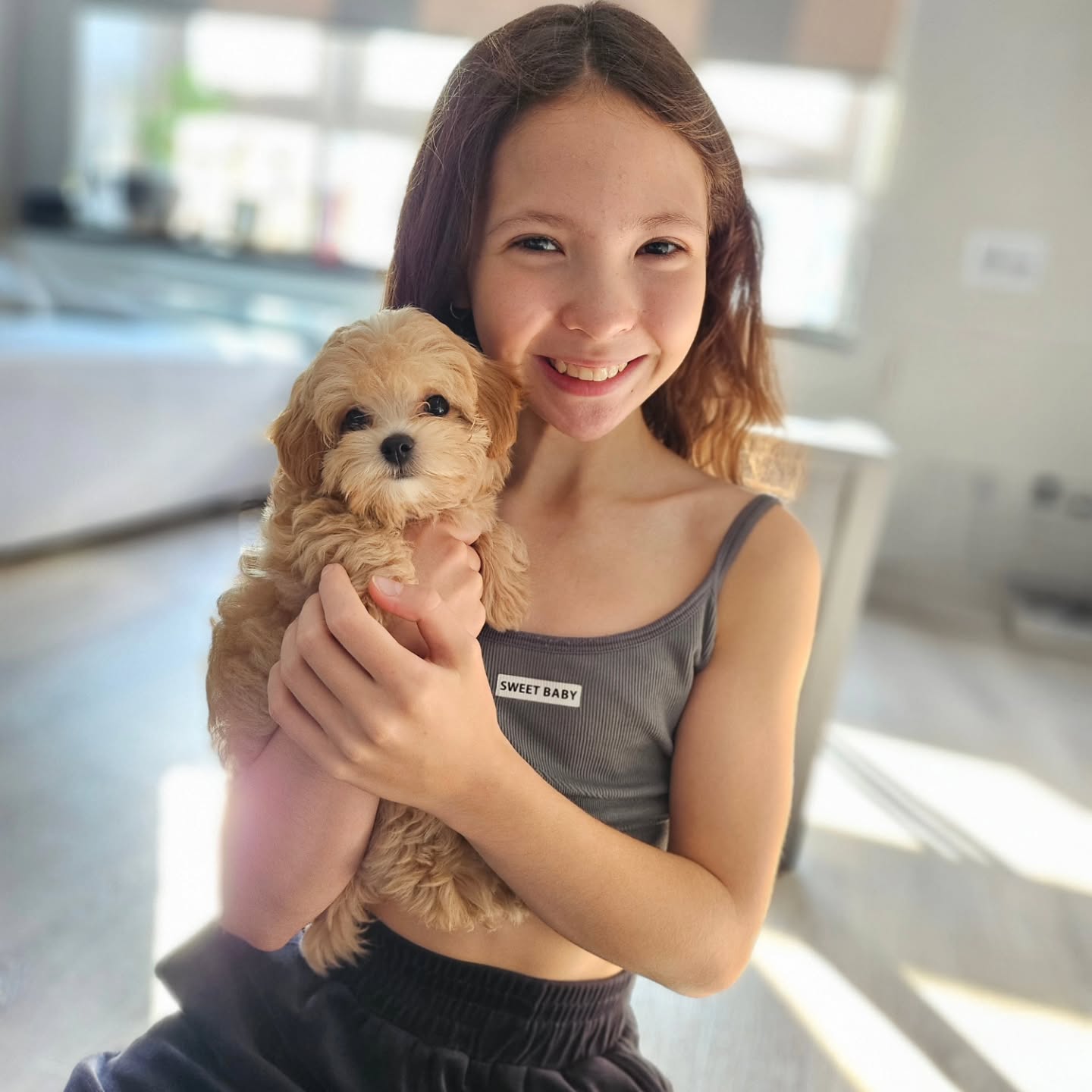 Rescue puppy event