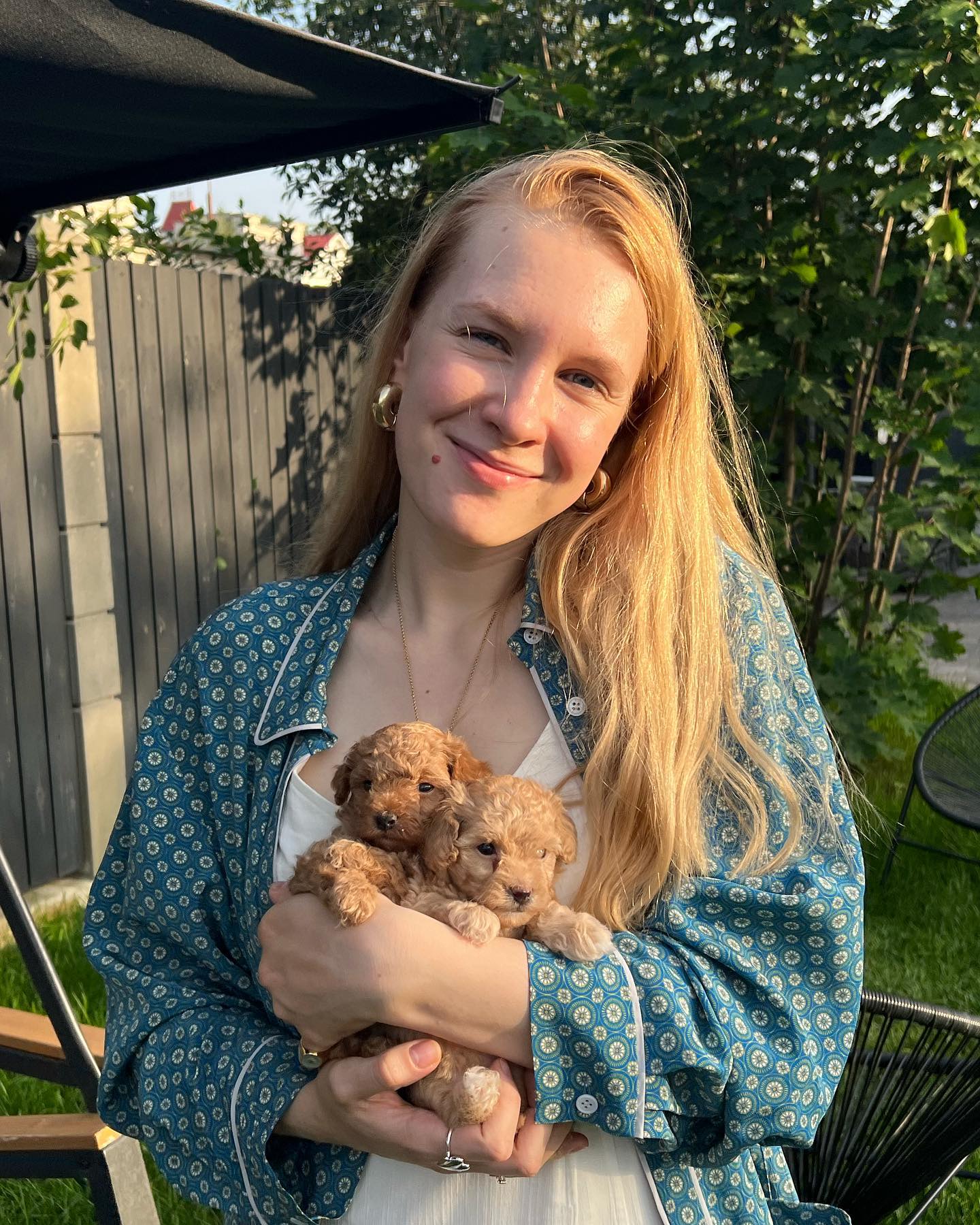Rescue puppies