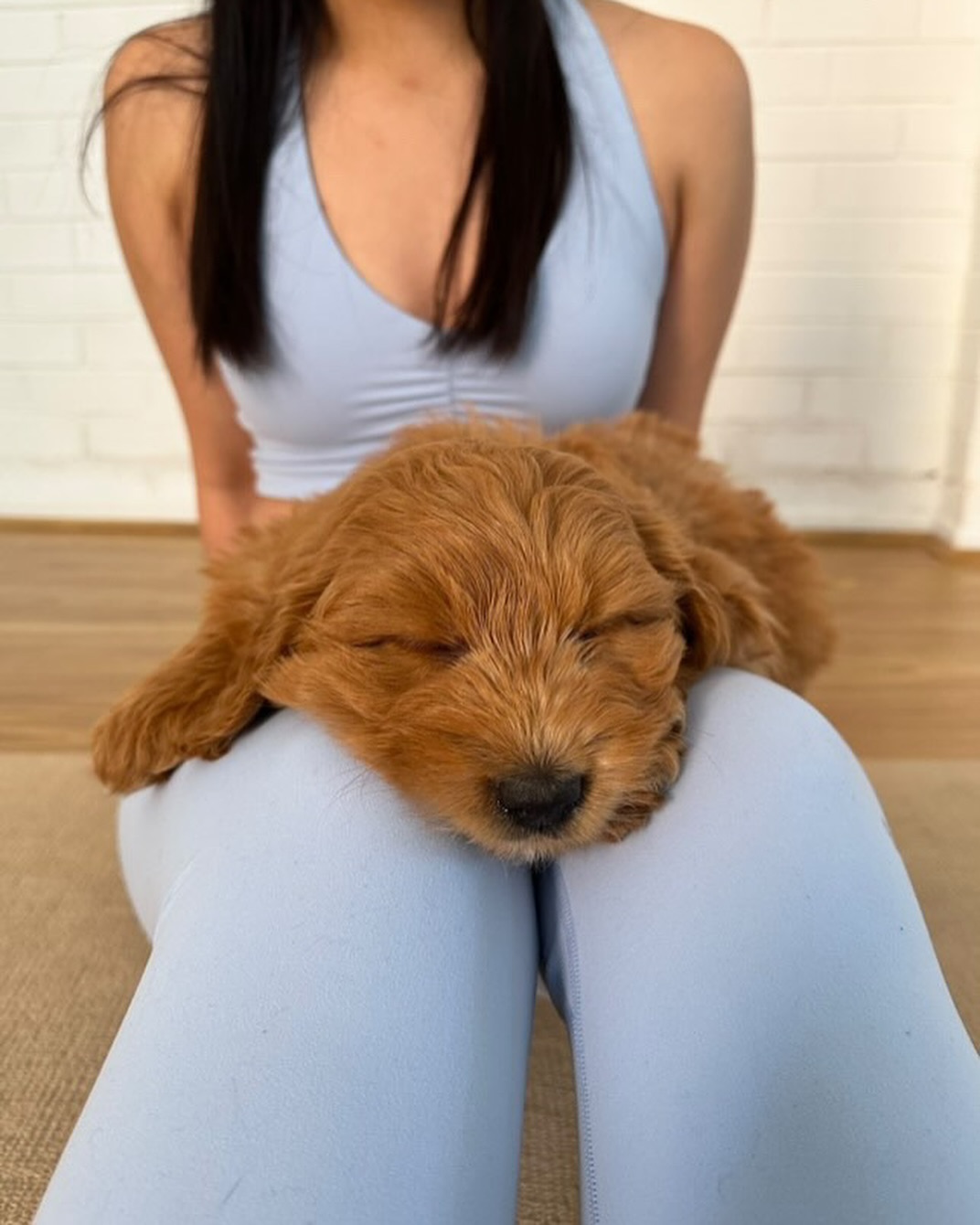 Puppy yoga session