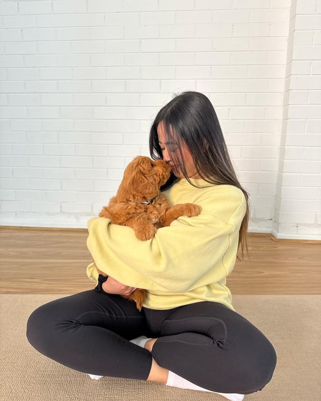 Puppy event photo