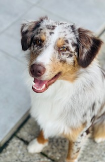 ff 6404cf0ed353de181ee7188ea24d8d3e ff img 5301